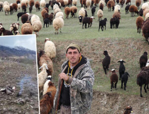 Erzurumlu çoban, sürüsünü toplamak için bakın ne yaptı: ‘Şimdi kartal gibi gözlerimle kontrol ediyorum’