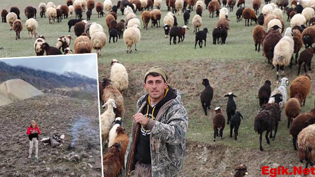 Erzurumlu çoban, sürüsünü toplamak için bakın ne yaptı: ‘Şimdi kartal gibi gözlerimle kontrol ediyorum’
