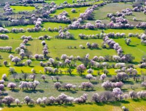 Görüntü İsviçre’den değil Türkiye’den