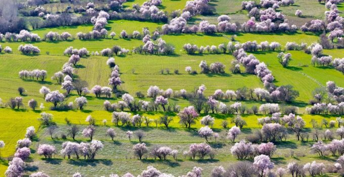 Görüntü İsviçre’den değil Türkiye’den