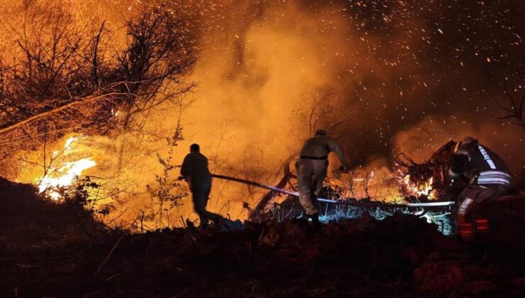 İstanbul Beykoz’daki orman yangını kontrol altına alındı