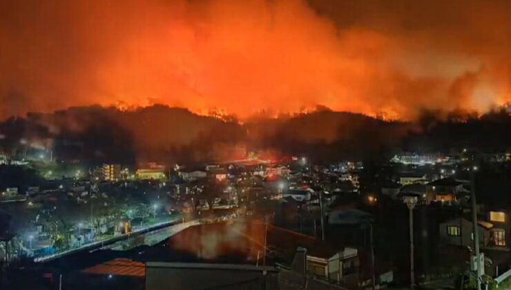 Japonya’nın Iwate eyaletinde orman yangını