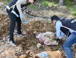 Pendik’te operasyon: Toprak altındaki depoda binlerce silah parçası bulundu! 4 şüpheli gözaltında