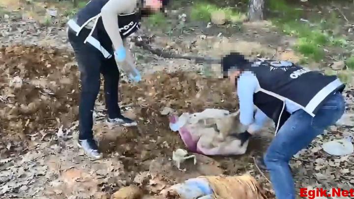 Pendik’te operasyon: Toprak altındaki depoda binlerce silah parçası bulundu! 4 şüpheli gözaltında