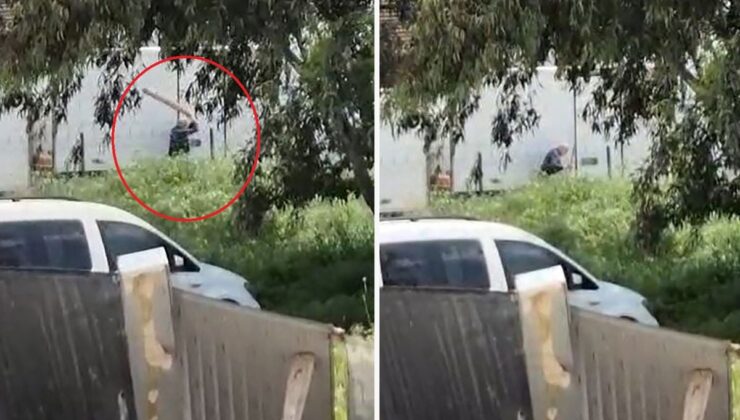 Tavuklarını yediği gerekçesiyle sokak köpeğini sopayla döven kişi gözaltında