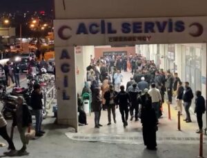 Arazi anlaşmazlığı nedeniyle iki üvey kardeşini öldürdü