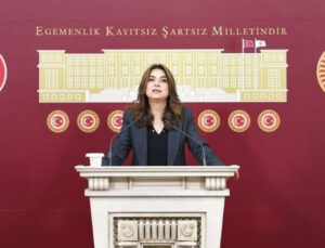 DEM Parti: Bahçeli’nin önerileri önemli