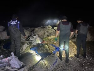 Tuşba’da kaçak avlanan 1 ton ölü, 200 kilo canlı inci kefali ele geçirildi