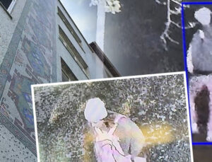 Yer: İstanbul | Erkek arkadaşının ziline bastı, sonrası korkunç: Doktor Alime entübe edildi