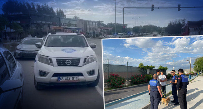 7 mahalle karantinaya alındı: Bölgede kuduz alarmı
