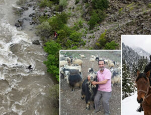 Artvin’de feci kaza! Çoruh Nehri’ne düşen otomobilde kaybolan baba-oğul için arama çalışması başlatıldı