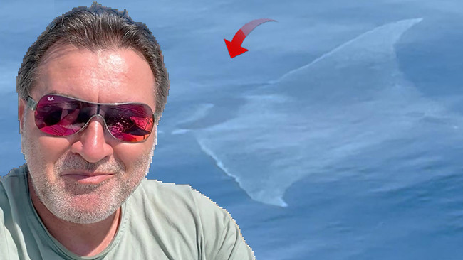 Çanakkale’de 2 metre uzunluğunda şeytan mantası görüldü: ‘Biz onu izledik, o bizi izledi’