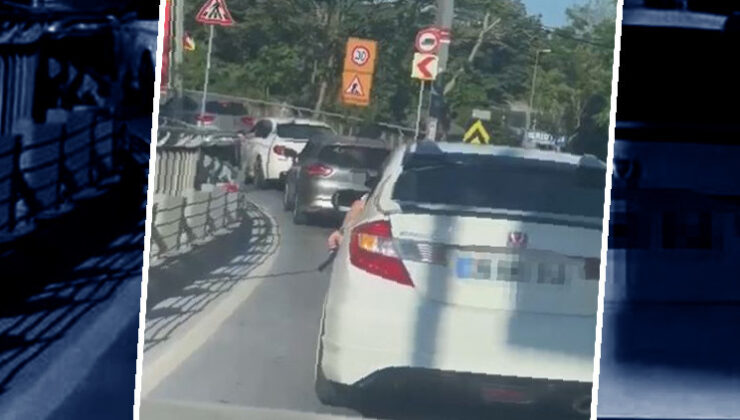 Görenler gerçek sandı, polis operasyonuyla yakalandı: Meğer oyuncakmış