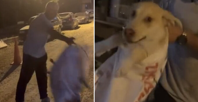 Hatay’da köpeği çuvala koyularak götürülmek istenen köpeği, hayvansever kadın kurtardı