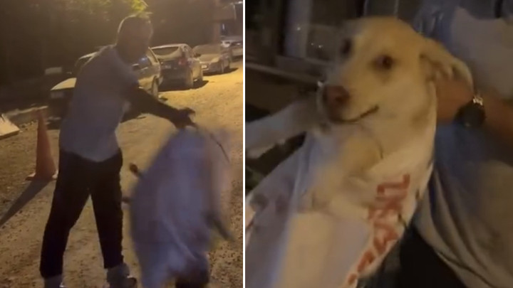 Hatay’da köpeği çuvala koyularak götürülmek istenen köpeği, hayvansever kadın kurtardı