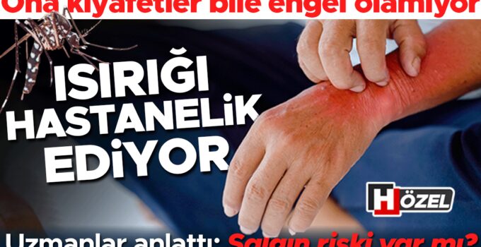 Isırığı hastanelik ediyor! Kıyafetler bile engel olamıyor, gündüzleri saldırıyor… Uzmanlar anlattı: Kalıcı hale mi geldi ve salgın riski var mı?