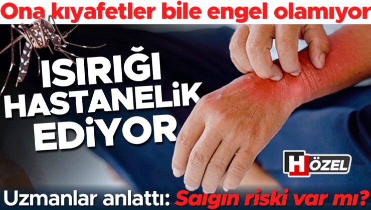 Isırığı hastanelik ediyor! Kıyafetler bile engel olamıyor, gündüzleri saldırıyor… Uzmanlar anlattı: Kalıcı hale mi geldi ve salgın riski var mı?