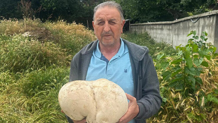 Ispartalı vatandaş evinin bahçesinde buldu: Tam 3,5 kilo | ‘Ne olduğunu anlayınca çok şaşırdım’