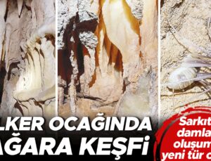 Sarkıtlar, damlataşı oluşumları, yeni tür canlılar… Kalker ocağında mağara keşfi