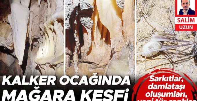 Sarkıtlar, damlataşı oluşumları, yeni tür canlılar… Kalker ocağında mağara keşfi