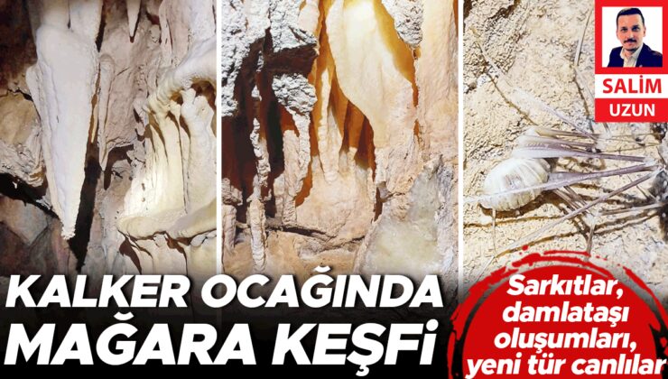 Sarkıtlar, damlataşı oluşumları, yeni tür canlılar… Kalker ocağında mağara keşfi