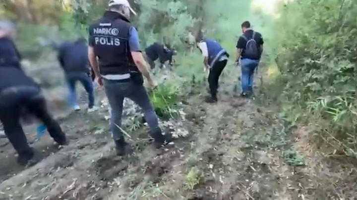 UNESCO Dünya Mirası Listesi’ndeki Hevsel Bahçeleri’nde 12 bin 174 kök Hint keneviri ele geçirildi