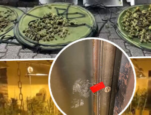 Yoğun koku yayılınca ortaya çıktı! İzole edilmiş odada ‘pes’ dedirten düzenek: Piyasa değeri 30 milyon lira