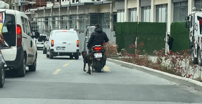 Yürek sızlatan görüntü! Motosiklete bağladığı köpeği metrelerce koşturdu: 8 bin 678 lira ceza kesildi