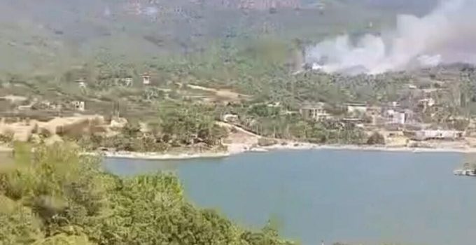 Aydın’daki orman yangınına havadan müdahale yeniden başladı