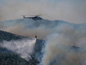 Balıkesir Valiliğinden bölgedeki yangınlara ilişkin açıklama:
