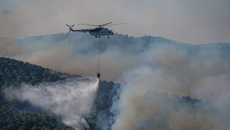 Balıkesir Valiliğinden bölgedeki yangınlara ilişkin açıklama: