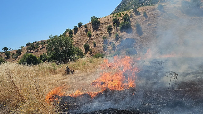 Diyarbakır’da örtü yangını: Kontrol altına alındı