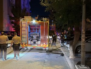 Eskişehir’de yangında ayakları yanan kediye ilk müdahale ambulansta yapıldı