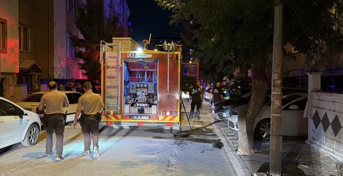 Eskişehir’de yangında ayakları yanan kediye ilk müdahale ambulansta yapıldı