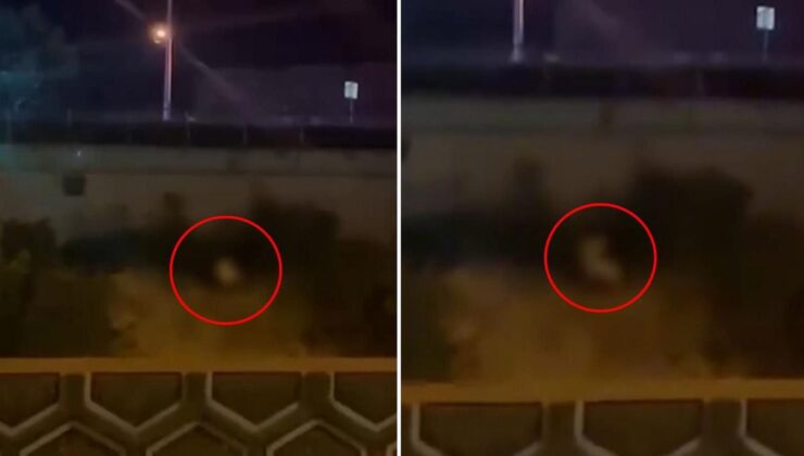 Görüntü Türkiye’den! Kimseye aldırmadan yol kenarında cinsel ilişkiye girdiler