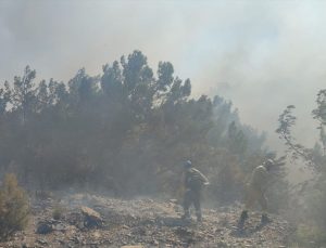 GÜNCELLEME – Mersin’de çıkan orman yangınına müdahale ediliyor