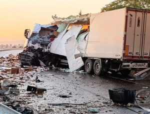 Köprüde duvara çarpan TIR’ın şoförü hayatını kaybetti