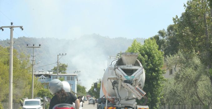 Muğla’nın Fethiye ilçesinde orman yangını çıktı