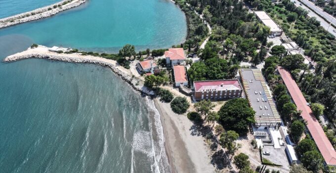 ODTÜ sahilinde deniz kaplumbağalarının yuvaları titizlikle korunuyor