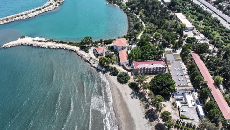 ODTÜ sahilinde deniz kaplumbağalarının yuvaları titizlikle korunuyor