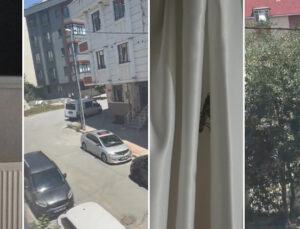 Sürü halinde Türkiye’ye geliyor: Trakya ve İstanbul’da çekirge istilası iddiası! ‘Ne yapacağımızı bilmiyoruz’