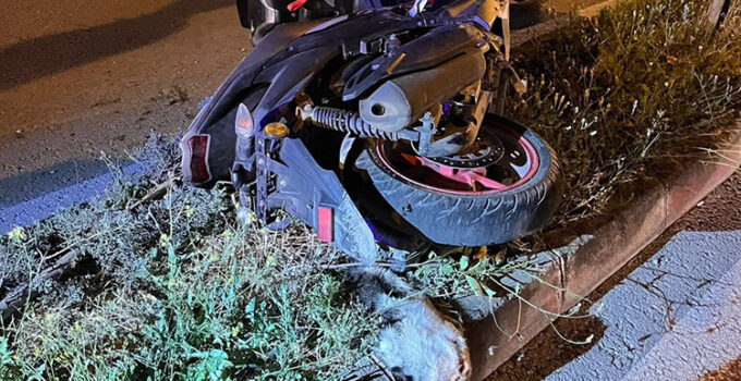 Tokat’ta feci kaza! Kediye çarpmamak için manevra yaptı canından oldu